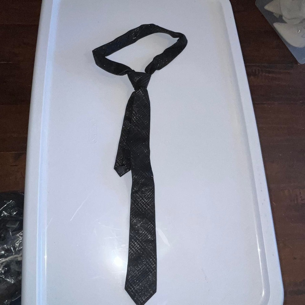 Plaid mens sparkly tie pictured